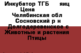 Инкубатор ТГБ 280 яиц › Цена ­ 16 000 - Челябинская обл., Сосновский р-н, Долгодеревенское с. Животные и растения » Птицы   